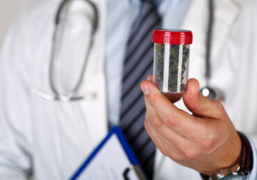 Medyczna marihuana trzymana w rękach przez lekarza